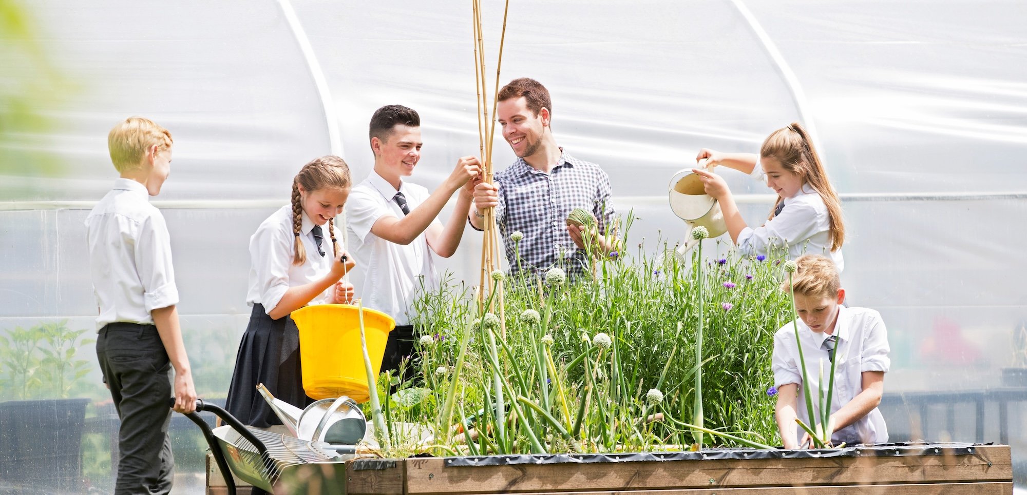 Group of students gardening